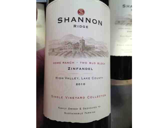 7197 - 3 Liter 2010 Two Bud Zinfandel - Shannon Ridge Family of Wines, Clearlake Oaks