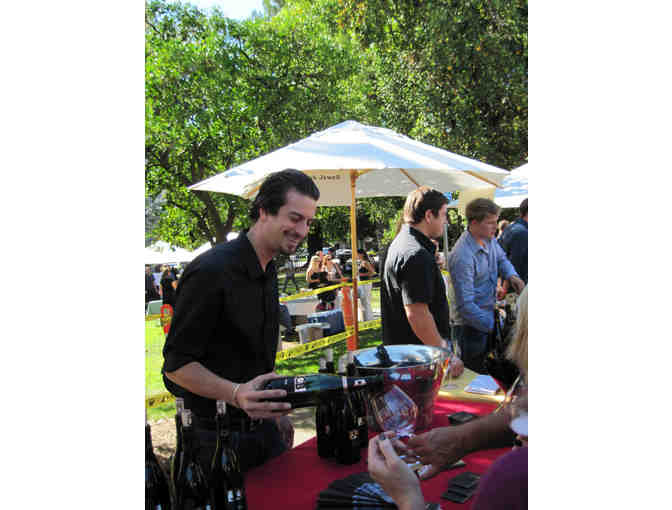 7316 - Two VIP Passes to Grand Tasting - Pinot On The River, Healdsburg