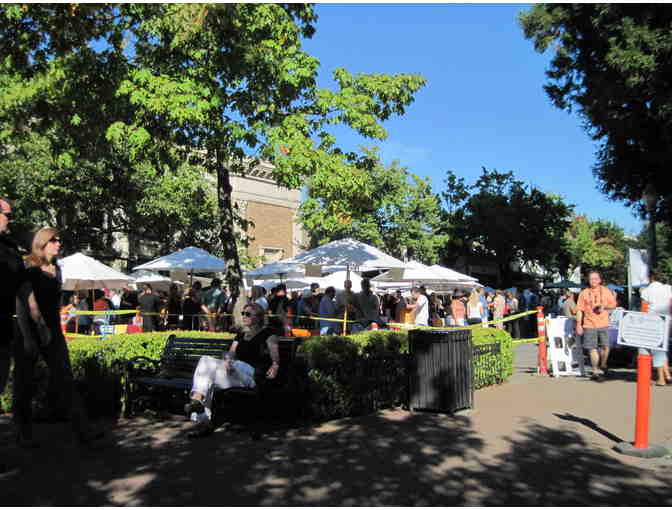 7318- Two VIP Passes to Grand Tasting - Pinot On The River, Healdsburg