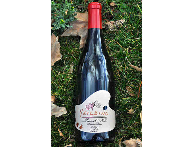 7325 - Mixed Case - Yeilding Wine, Healdsburg