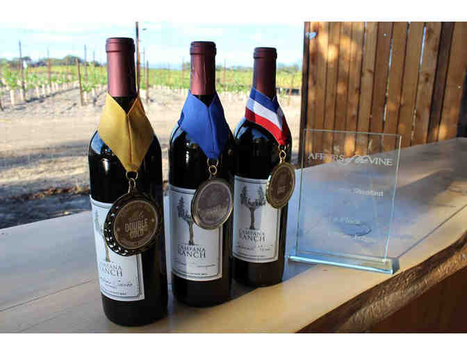 7066 - Campana Ranch Winery, Windsor - Tour, Wine & Barrel Tasting for 6 with Winemaker