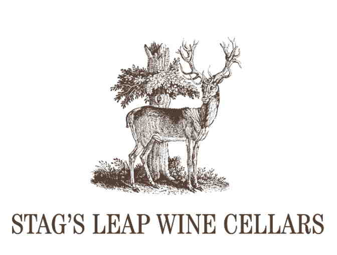 7067 - Stag's Leap Wine Cellars, Napa - Magnum 2013 Cabernet Sauvignon