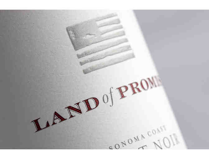 7254 - Land of Promise, Petaluma - Two Magnums 2013 Sonoma Coast Pinot Noir