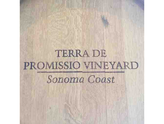 7254 - Land of Promise, Petaluma - Two Magnums 2013 Sonoma Coast Pinot Noir