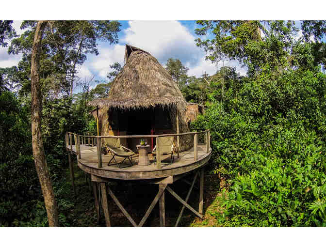 5167 - Seven Nights for 2, 3 Discovery Camps, Odzala Discovery Camps, Republic of Congo