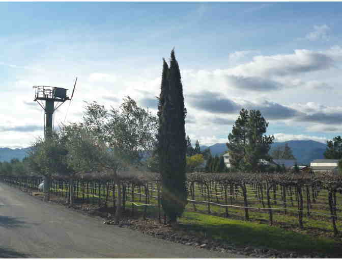 Tour & Tasting for Six & Case of White Riesling, Hagafen Cellars, Napa
