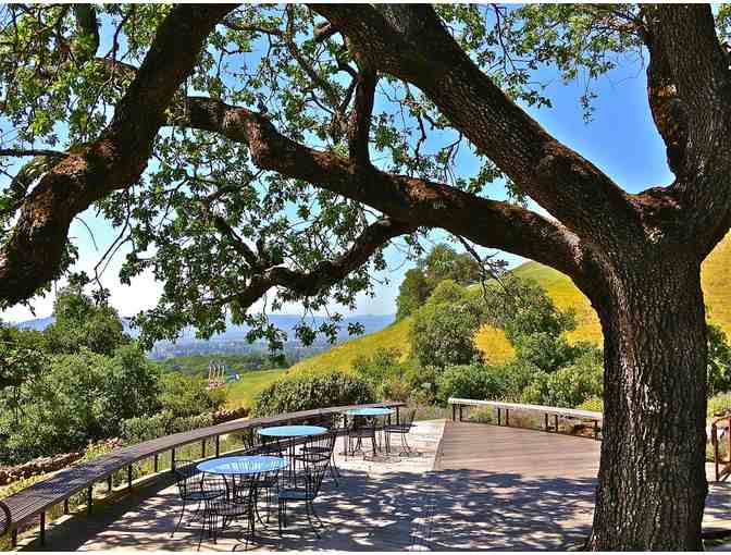 Four-Pack of Wine, Wine & Cheese Pairing for Four, Paradise Ridge Winery, Santa Rosa