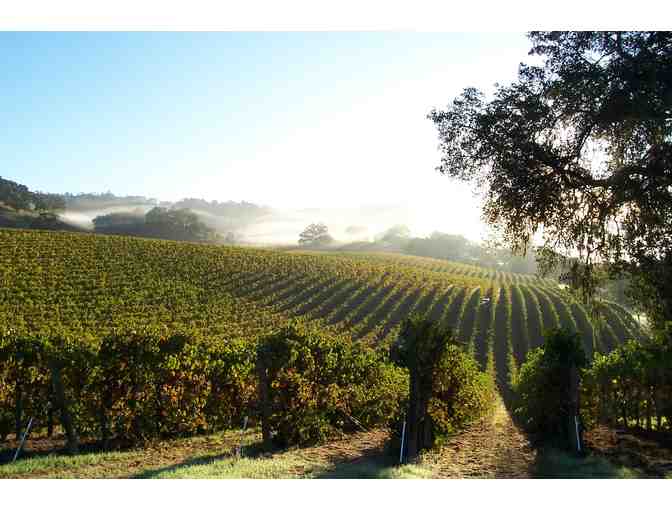 Case 2015 Alexander Valley Merlot & More, Robert Young Estate Winery, Geyserville