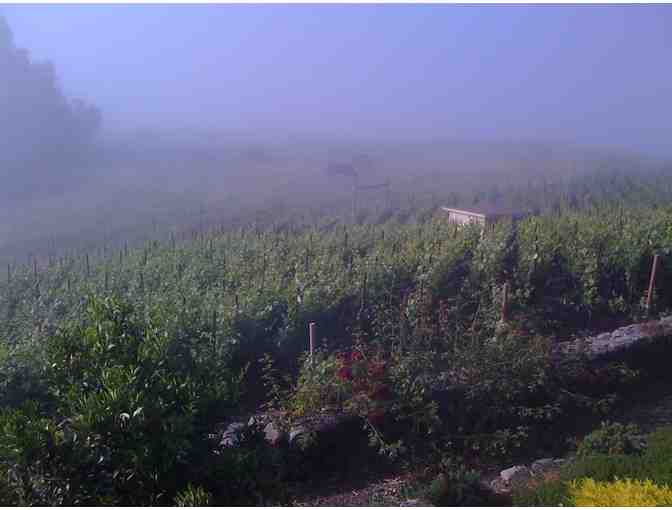 Case 2013 Allure Reserve Chardonnay Sonoma Coast, Clouds Rest Vineyards, Petaluma