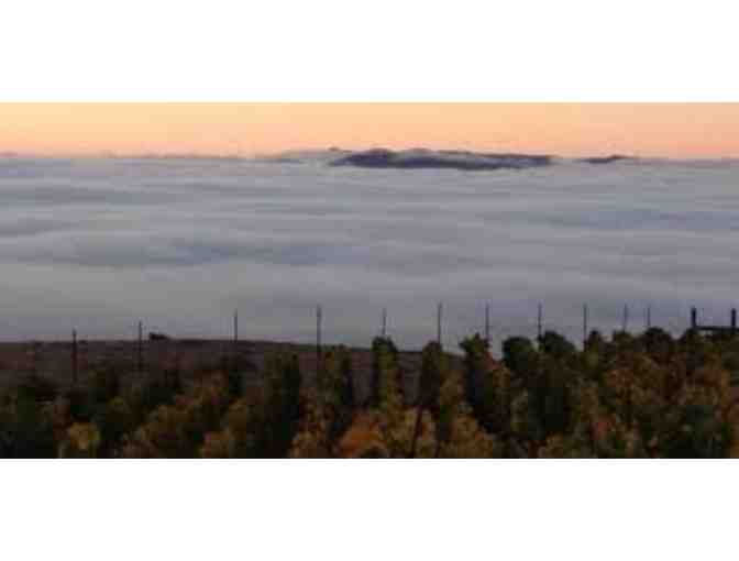 Case 2013 Allure Reserve Chardonnay Sonoma Coast, Clouds Rest Vineyards, Petaluma - Photo 4