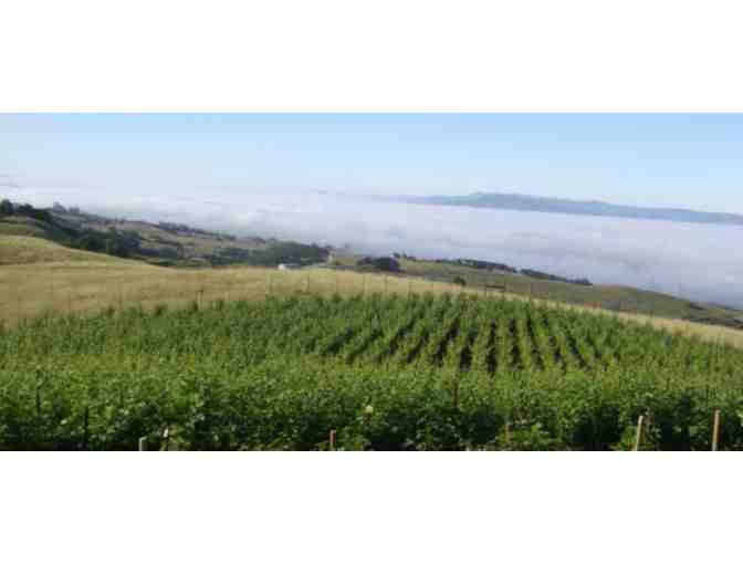 Case 2013 Allure Reserve Chardonnay Sonoma Coast, Clouds Rest Vineyards, Petaluma - Photo 3