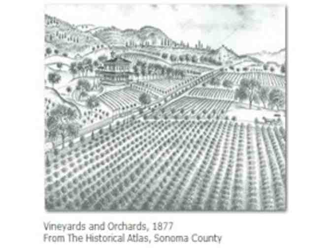 Experience the Petaluma Gap, Petaluma Gap Winegrowers Association, Petaluma