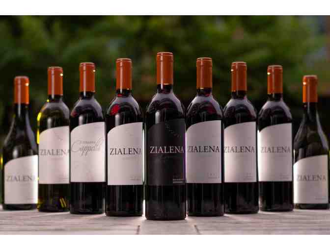 8 Person Tour & Private Tasting Experience, Zialena Winery, Geyserville