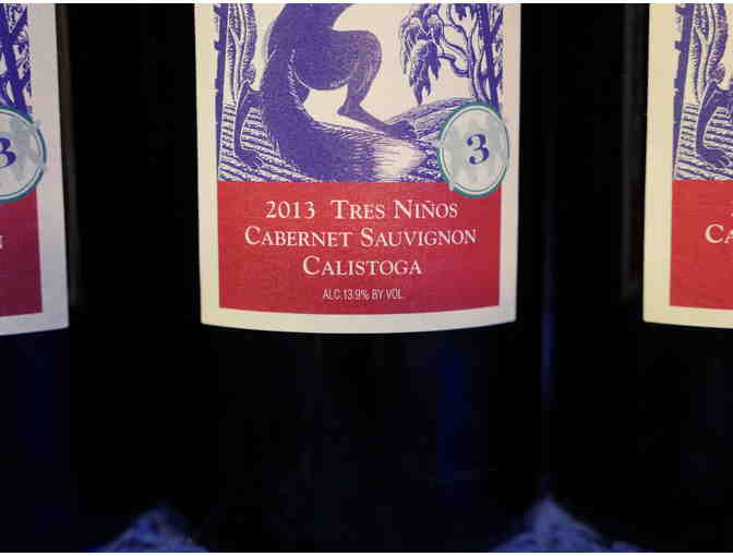 Case 2013 Cabernet Sauvignon, Renard, DBA Bayard Fox Wines, Napa - Photo 3