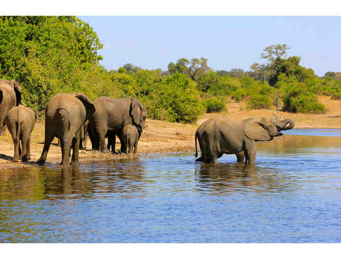 9 Day Southern Africa Land-and-Cruise Safari for 2, CroisiEurope Cruises - Photo 1