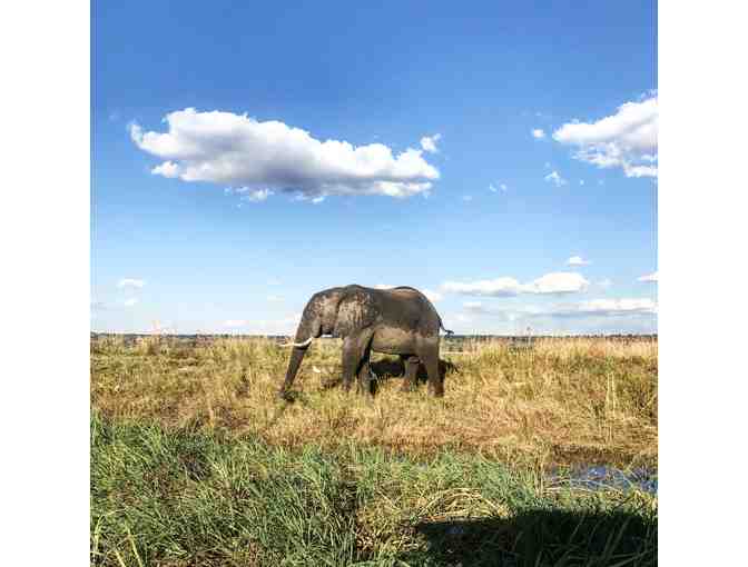 9 Day Southern Africa Land-and-Cruise Safari for 2, CroisiEurope Cruises