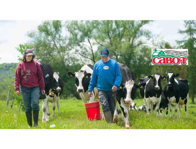 One Year Supply of Cabot Cheese, Cabot Creamery Cooperative, Waitsfield VT