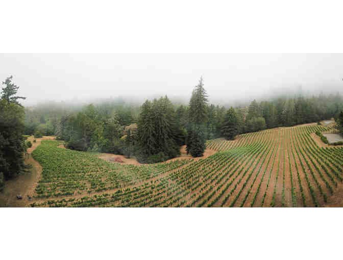 Vineyard Tour & Wine Tasting Experience for 4 with Wine, Red Car Wine, Sebastopol