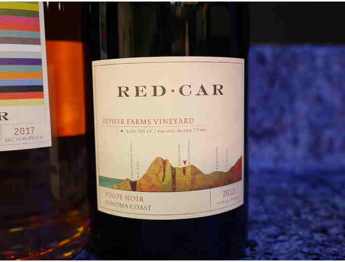 Vineyard Tour & Wine Tasting Experience for 4 with Wine, Red Car Wine, Sebastopol