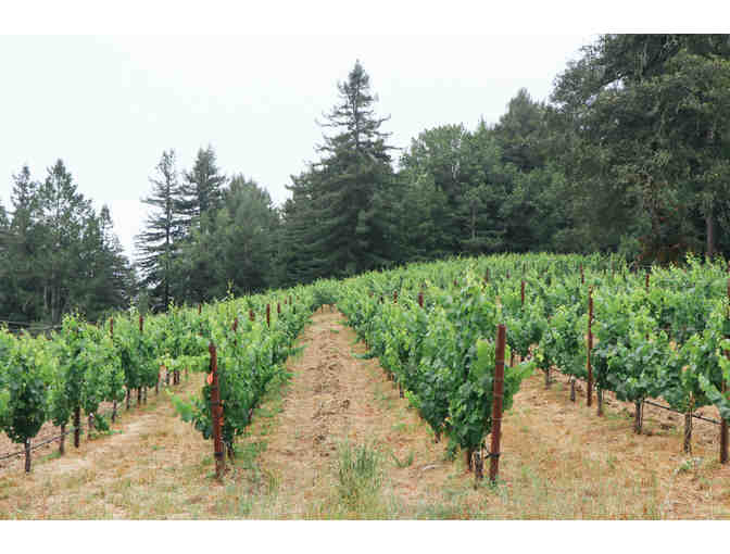 Zephyr Farms Vineyard Experience for Six, Red Car Wine, Sebastopol