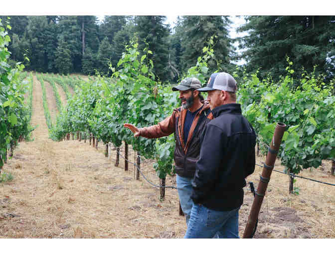 Zephyr Farms Vineyard Experience for Six, Red Car Wine, Sebastopol