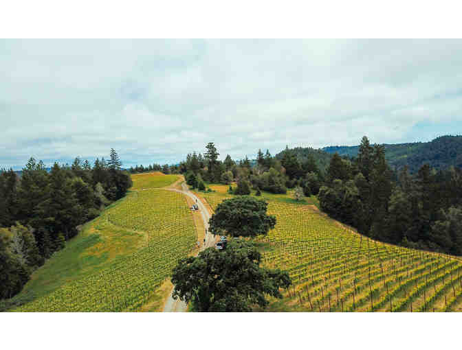 Zephyr Farms Vineyard Experience for Six, Red Car Wine, Sebastopol