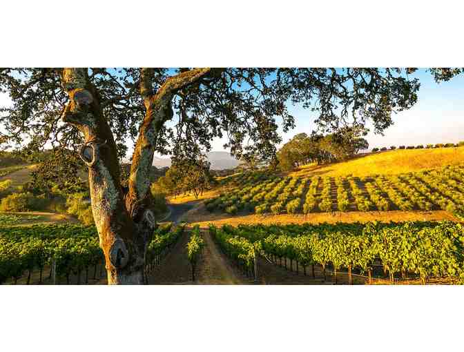 A Year of Wine Road Events for Two, Wine Road Northern Sonoma County, Healdsburg - Photo 5