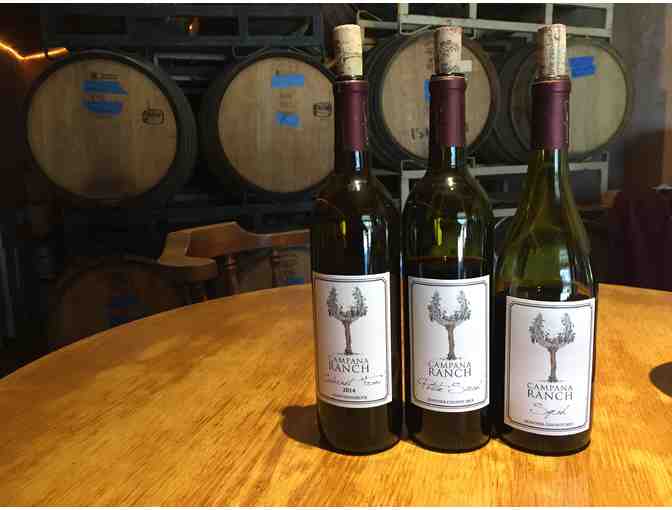 Vineyard Tour & Tasting with the Winemaker for Six, Campana Ranch Winery, Windsor