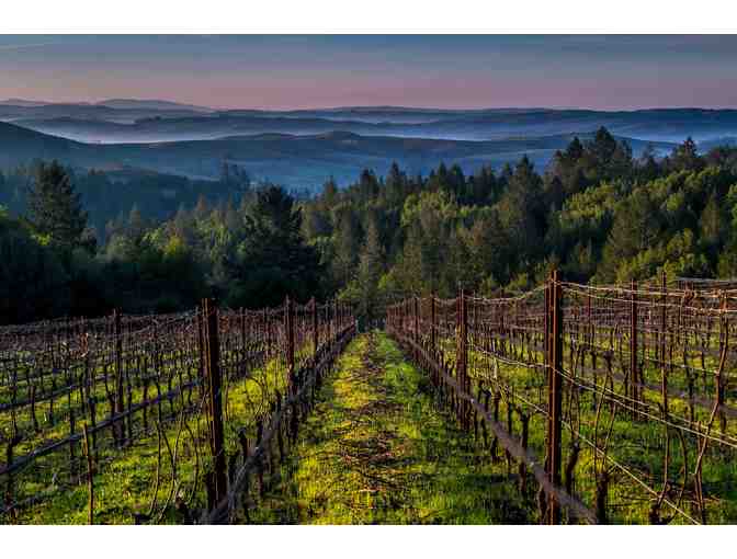 Hosted Virtual Tasting with the Vintner, wines included, Flanagan Wines, Healdsburg