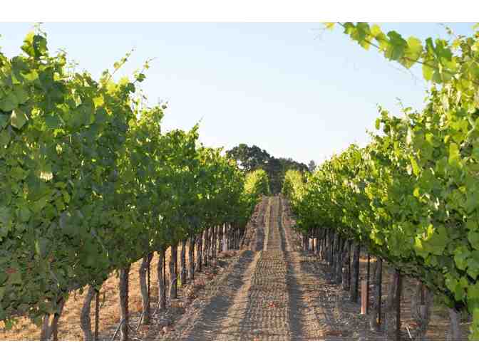 Wine Tasting with the Winemaker, Campana Ranch Winery, Windsor