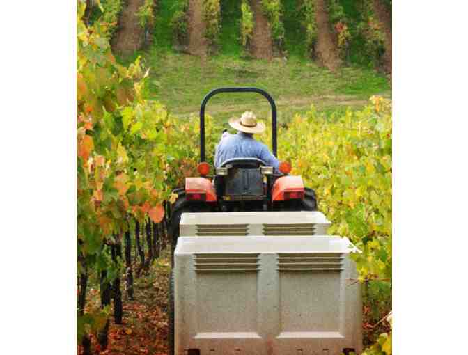 Lunch for 10, Tour and Tasting with the Winemaker, Di Arie Vineyard and Winery