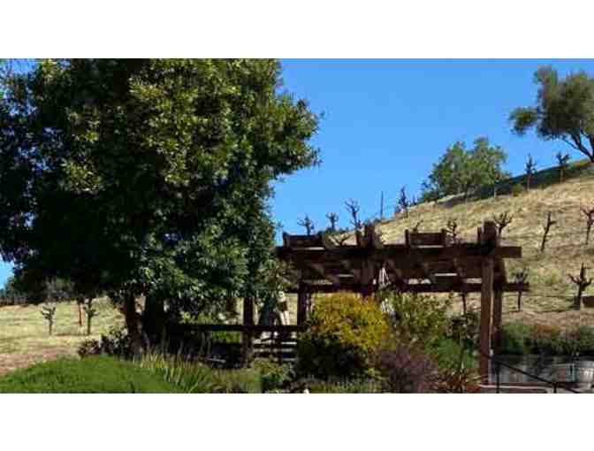 Case of Single-Vineyard wines, VIp Tasting for 4, Pedroncelli Winery