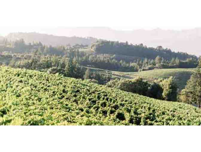 Vertical of six Napa Merlot vintages, Paloma Vineyards