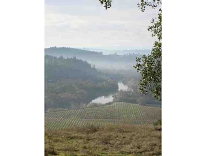 RUSSIAN RIVER VALLEY WINE EXPERIENCE for 2, Thomas George Estates - Photo 16