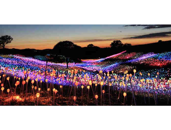 Two VIP Experience Tickets and Hats