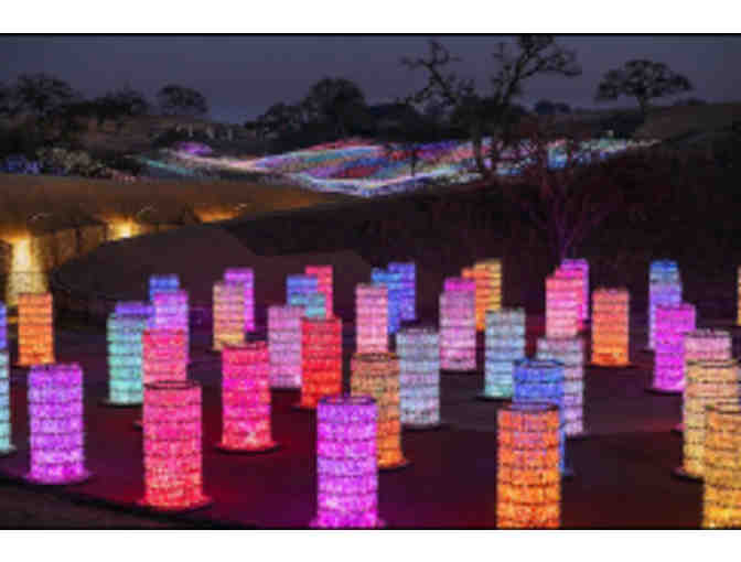 Two VIP Experience Tickets and Hats