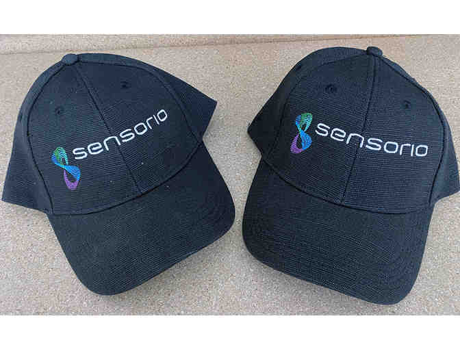 Two VIP Experience Tickets and Hats