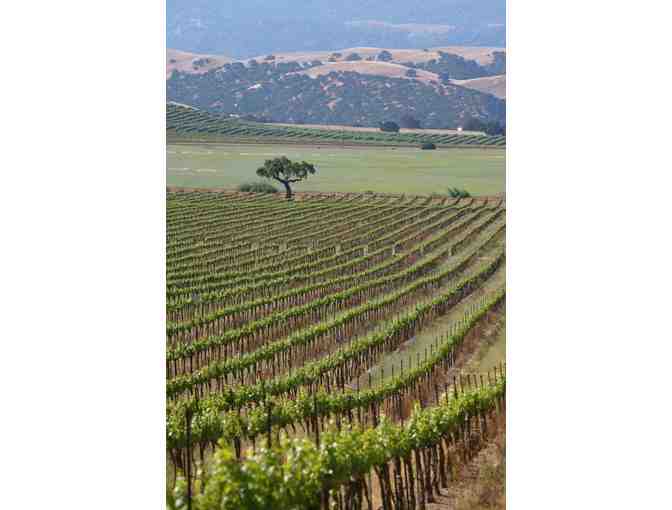 VIP Tasting Passport, all participating Livermore Wineries