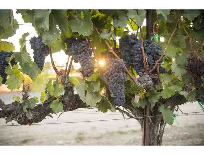 VIP Tasting Passport, all participating Livermore Wineries