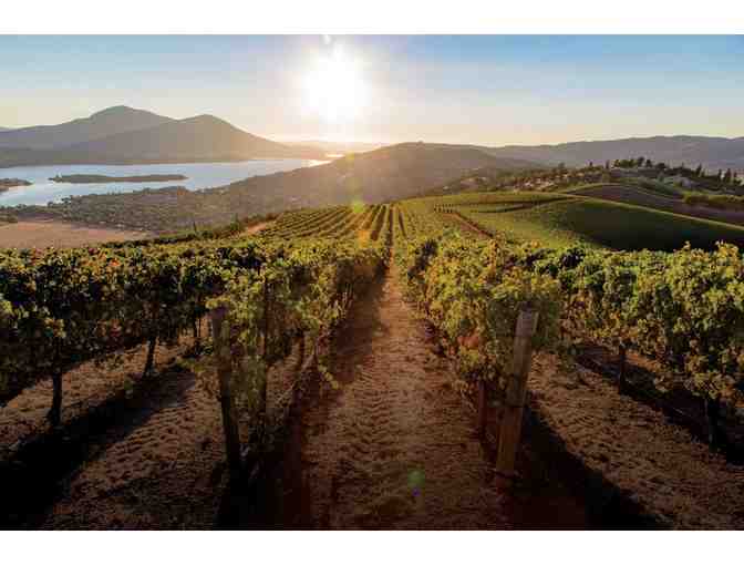 Case of 2018 Malbec, Nove Vineyards