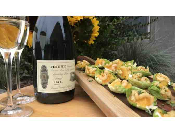 Tour and Tasting for 4 - Trione Vineyards and Winery