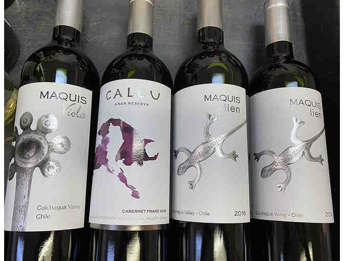 Chilean Wines, One Case