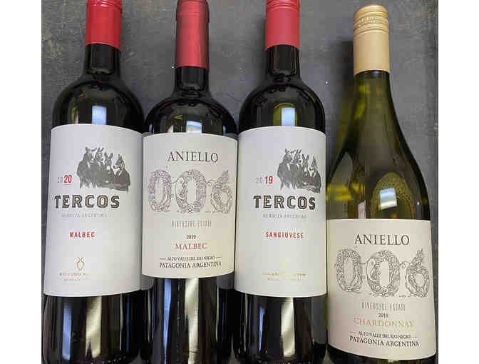 Wines from Argentina