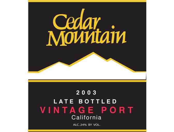 Tour and Tasting for 6 with the Winemaker, Cedar Mountain Winery