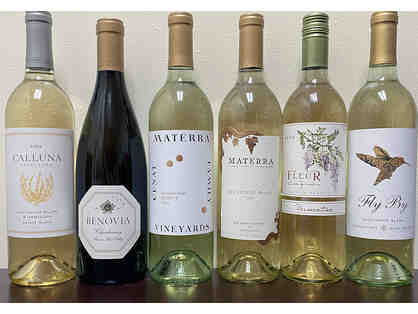 Six White Wines from Jim Gordon, Wine Enthusiast