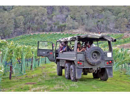 Pinzgauer Vineyard Tour and Tasting for 10 People