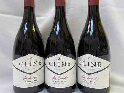 Nine Bottles of Fog Swept Pinot Noir by Cline Family Cellars