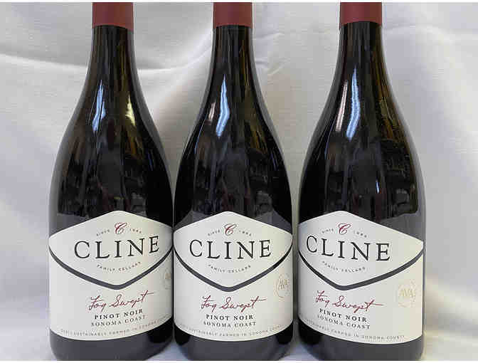 Nine Bottles of Fog Swept Pinot Noir by Cline Family Cellars - Photo 1