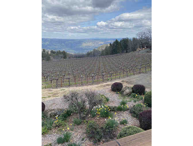 Case of Napa Merlots and Wine Aging Experience for 6 at Paloma Vineyard