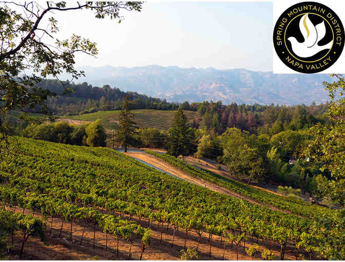 Case of Napa Merlots and Wine Aging Experience for 6 at Paloma Vineyard